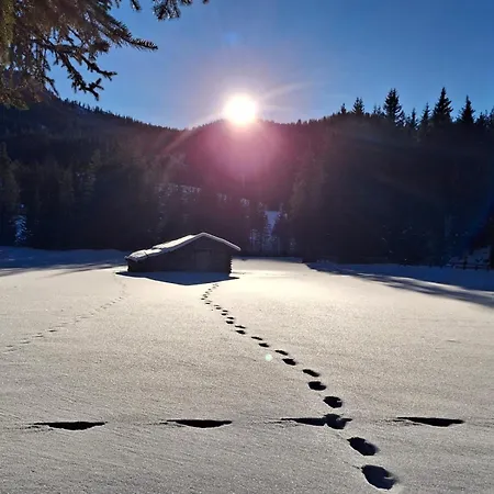 Apartment Haus Elfi Fiegl