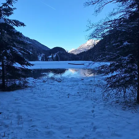 Haus Elfi Fiegl Apartment