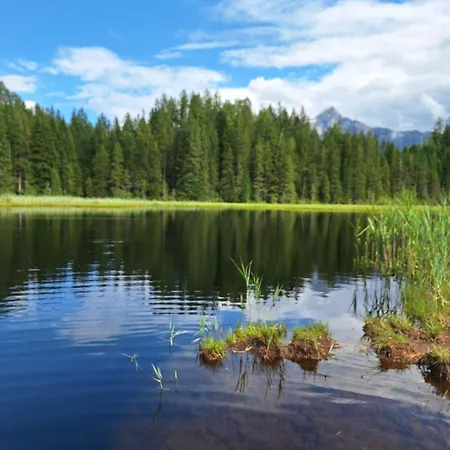 Apartment Haus Elfi Fiegl