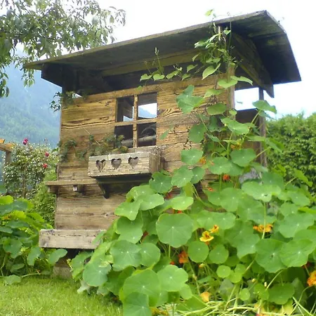 Lägenhet Haus Elfi Fiegl *