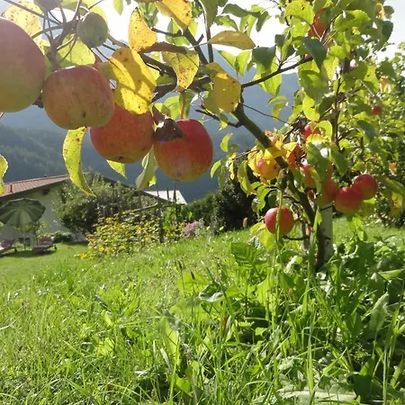 Apartment Haus Elfi Fiegl *