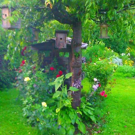 Haus Elfi Fiegl Lägenhet *